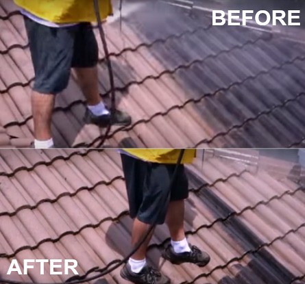 Roof cleaning before and after results showing mold removal in West Palm Beach FL
